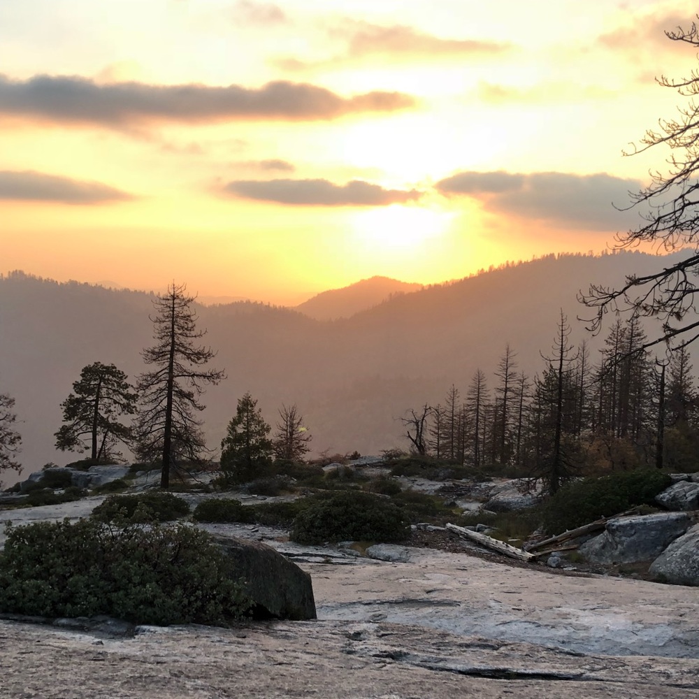 Meet your Posher, Will